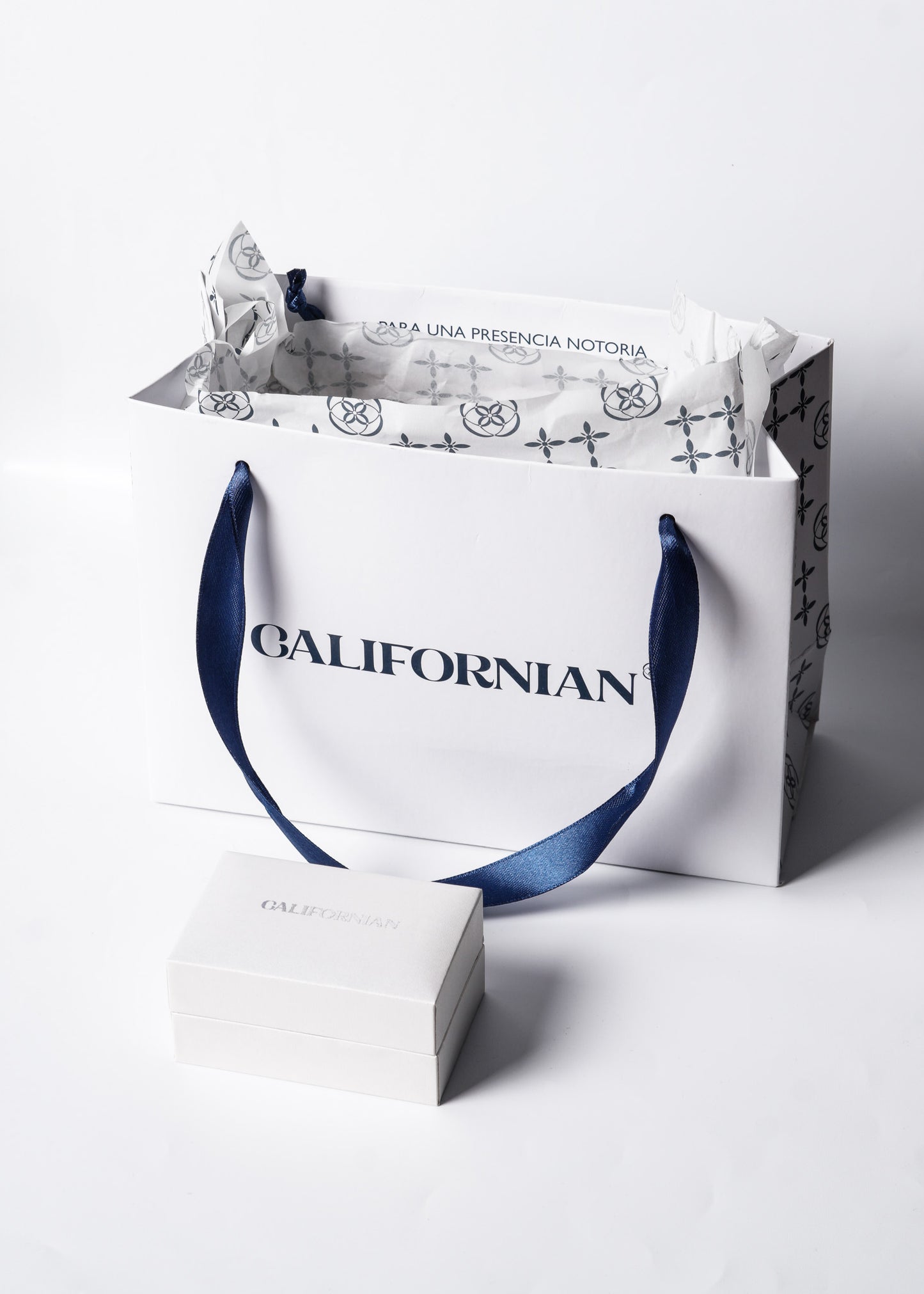 Caravanas aro multi esferas plata 925