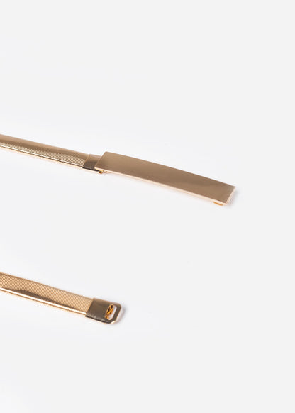 Cinto metálico placa elastizado