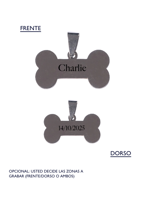 Dije liso hueso perro acero quirúrgico