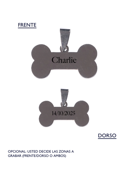 Dije liso hueso perro acero quirúrgico